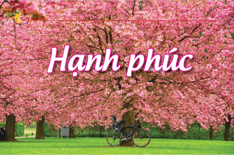 Tap chi nghien cuu phat hoc So thang 1.2017 Hanh Phuc 1