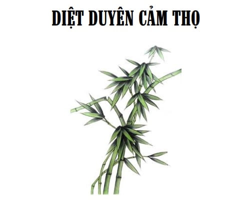 Tap chi Nghien cuu Phat hoc Diet Duyen cam tho 1