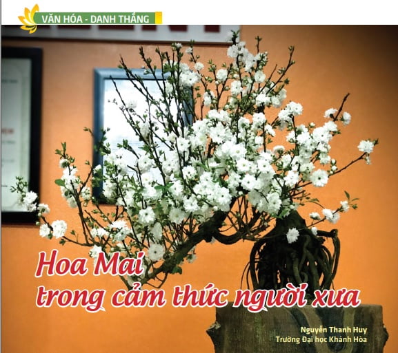 Tap chi Nghien cuu Phat hoc So thang 1.2022 Hoa mai trong cam thuc nguoi xua 1