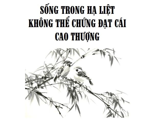 Tap chi Nghien cuu Phat hoc Song trong ha liet khong the chung dat cai cao thuong 1