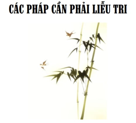Tap chi Nghien cuu Phat hoc Cac phap can phai lieu tri 1