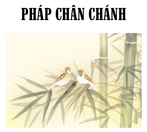 Tap chi Nghien cuu Phat hoc Phap Chan chanh 1